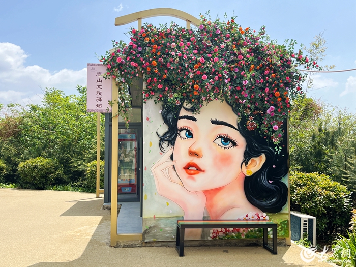 泰安也有“蔷薇少女”花墙啦 快来打卡